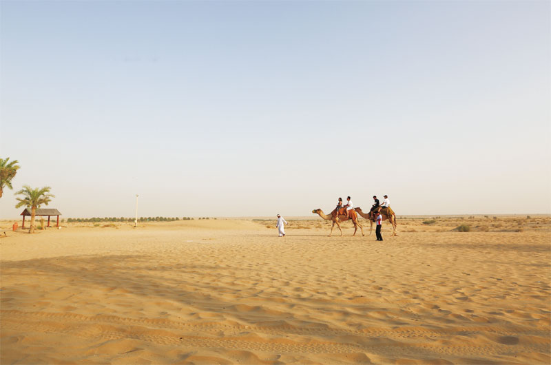 끝없이 펼쳐지는 사막 위에서 낙타는 터덜터덜 걷는다. 의외로 낙타 똥이 많아서 냄새가 난다
