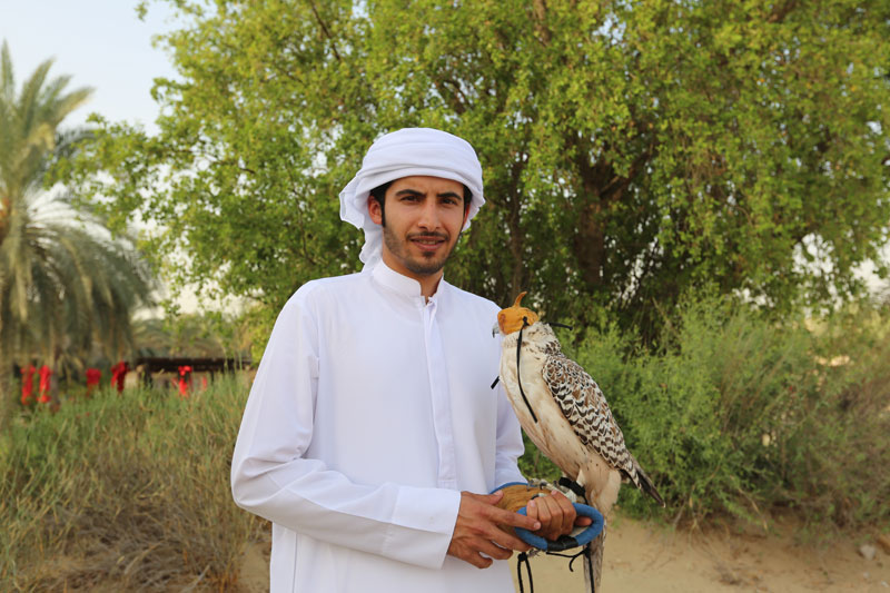 관광객의 기념사진 촬영을 위해 눈을 가려서 날지 못하게 된 사막의 새