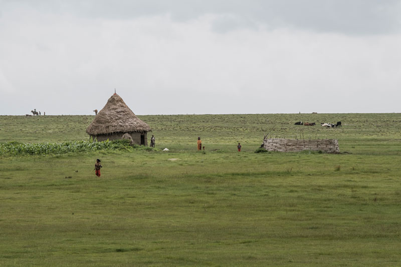발레 마운틴 국립공원 가는 길. 에티오피아 전통 양식으로 지은 집을 쉽게 볼 수 있다