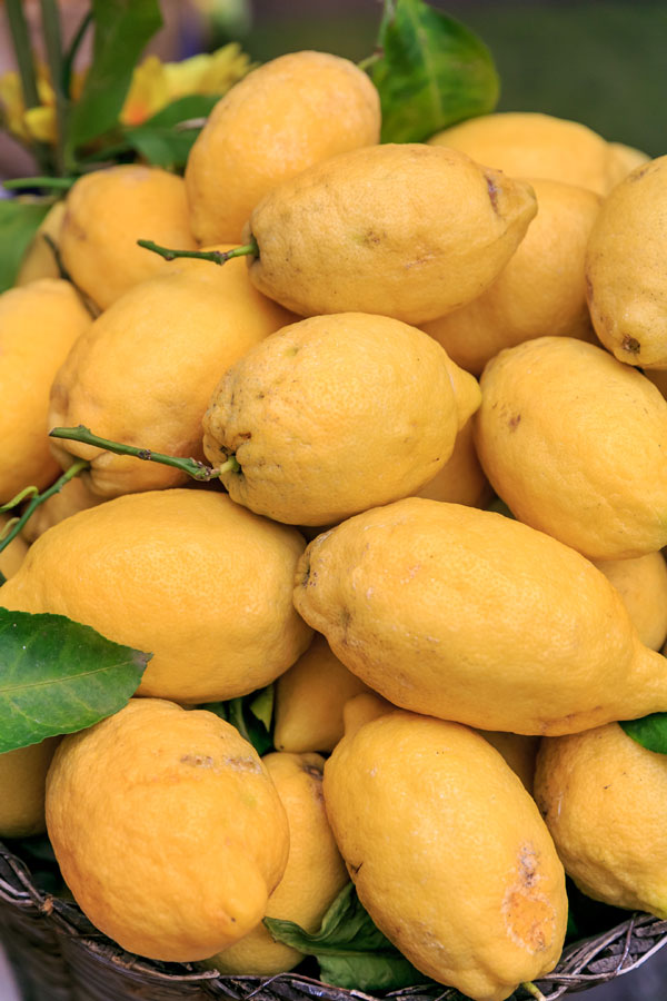 아말피에서 생산된 신선한 레몬