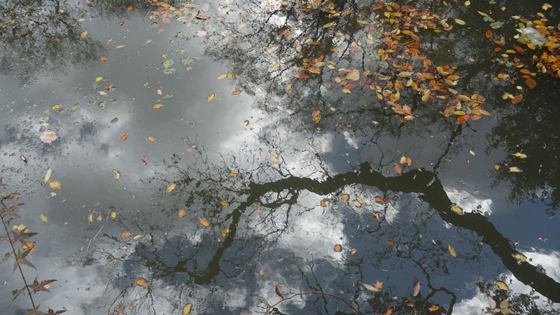 개심사 연못 위로 가을이 앉았다