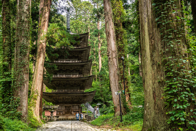 일본의 국보로 지정된 하구로산 오중탑은 1,200여 년의 역사를 자랑한다