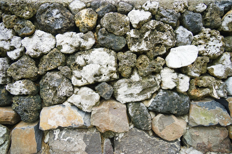 현무암과 산호초 암석으로 쌓아 올린 얼칸의 특색 있는 돌담