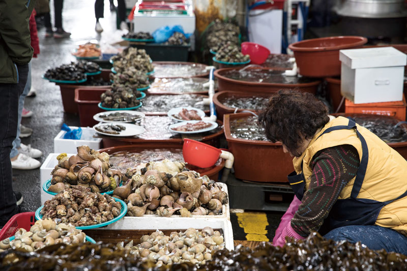 구룡포 시장의 싱싱한 해산물