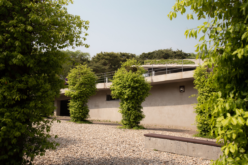 담쟁이로 가득한 ‘녹색기둥’은 선유도공원에서 손꼽히는 포토 스폿이다