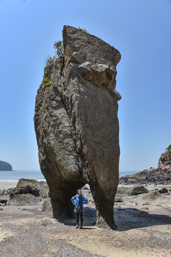 동섬 해안의 코끼리 바위. 파도와 안개의 합작품이다