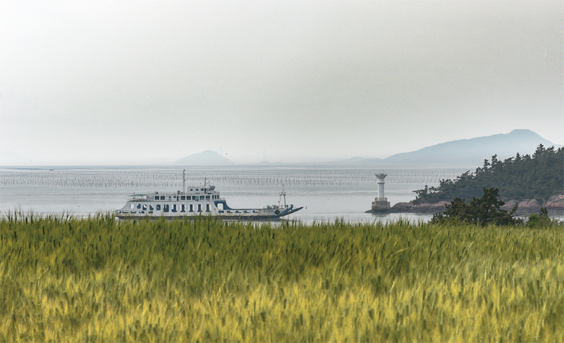 청보리밭 너머 바다로 쉴 새 없이 여객선이 통과한다. 목포항으로 진입하는 관문이기 때문이다