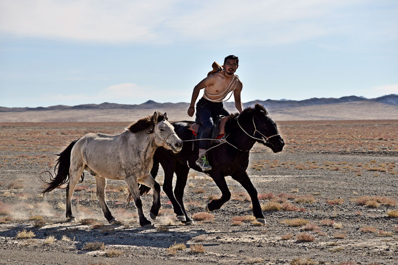 2014년 몽골 2,500km 횡단