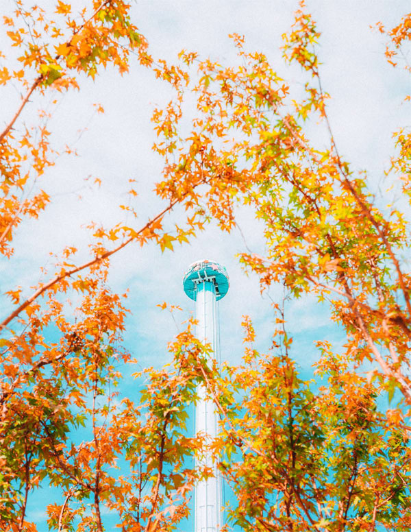 로봇랜드 스카이타워, 이른 가을, 단풍이 한껏 색을 뽐낸다