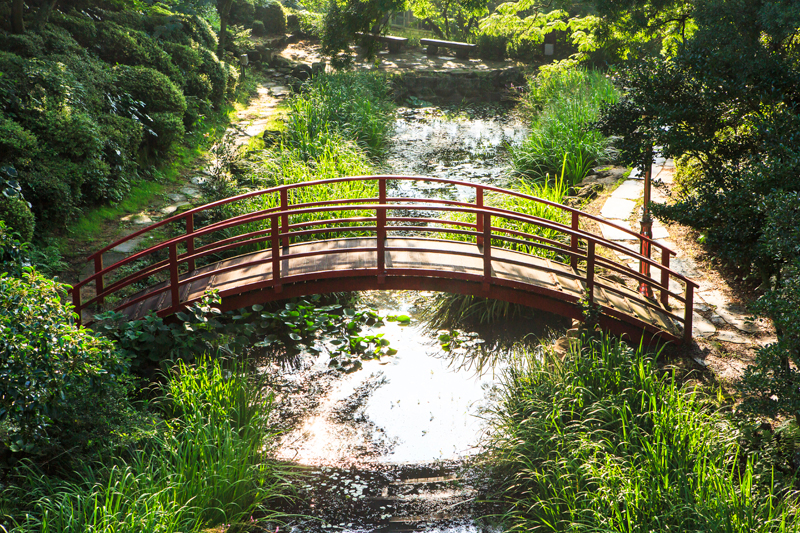 아담한 연못과 너른 들판이 펼쳐진 수생식물원