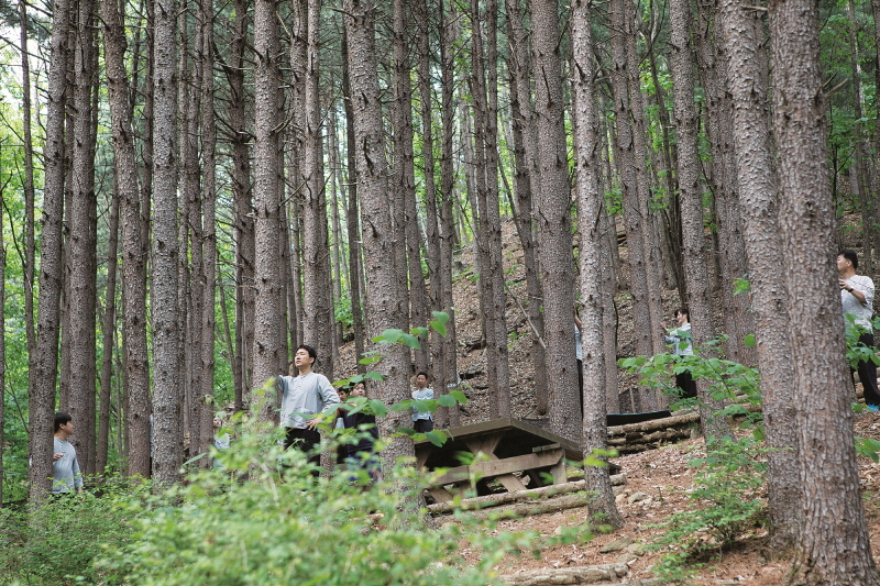 피톤치드 가득한 숲속에서는 트레킹, 명상, 운동 등 다채로운 데일리 프로그램이 이뤄진다