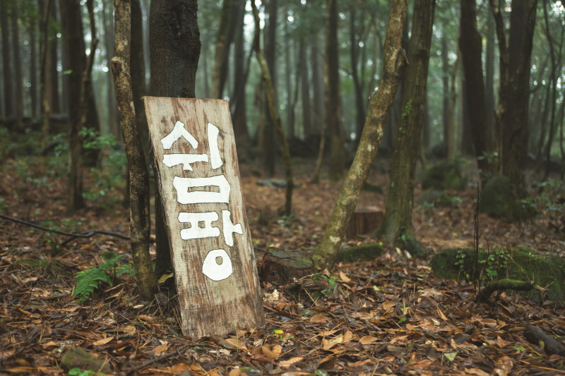 숲 곳곳에 쉬어갈 수 있는 ‘쉼팡’을 찾아 볼 수 있다.