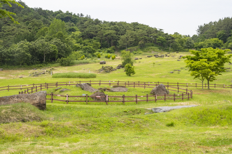 생태탐방의 종착지인 고창 고인돌공원