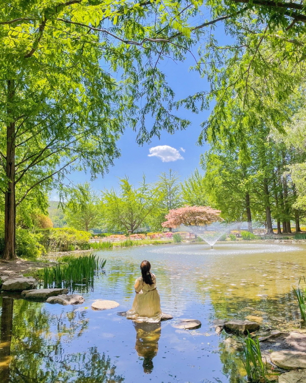 한국의 지베르니(Giverny). 안동에서 가장 아름다운 낙동물길공원