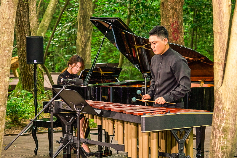 자작나무숲의 음악은 인간에게도, 자연에게도 힐링을 선사한다