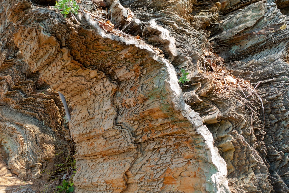 장봉도 해안에서 볼 수 있는 12억 년 된 지질 주름 바위