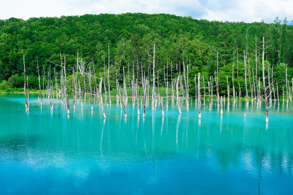 물이 가진 아름다운 색을 전부 표현해 내는 게 청의 호수 아닐까