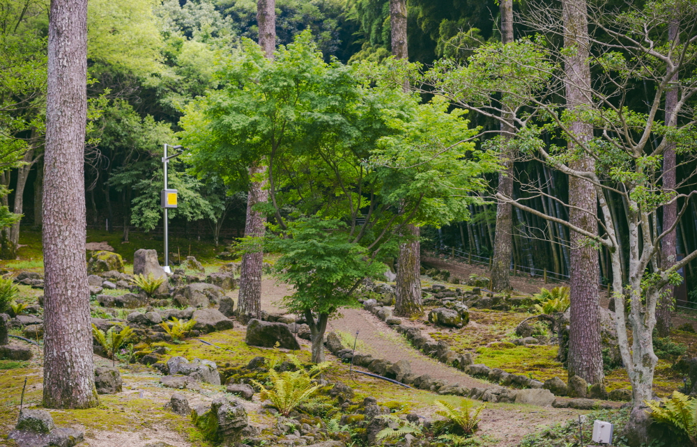  제주 자연을 그대로 간직한 한라수목원. 사진은 이끼원