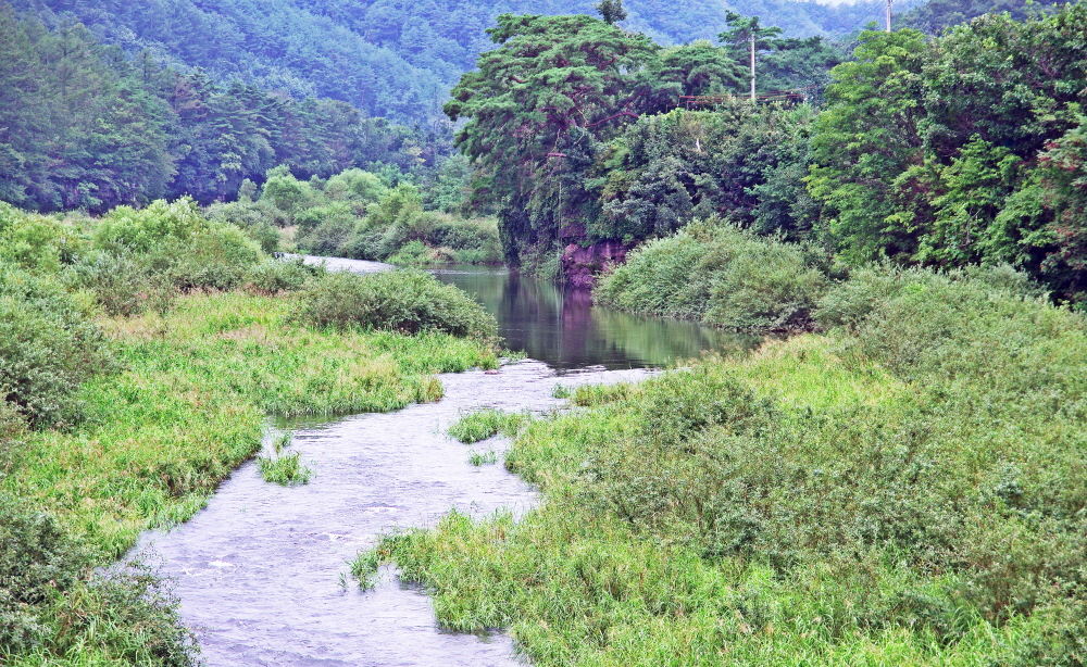 상원교에서 본 풍경