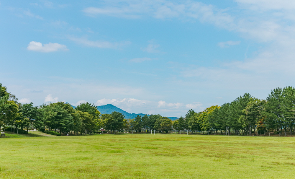 평화로운 광산구의 오후, 그리고 송산근린공원의 잔디광장.