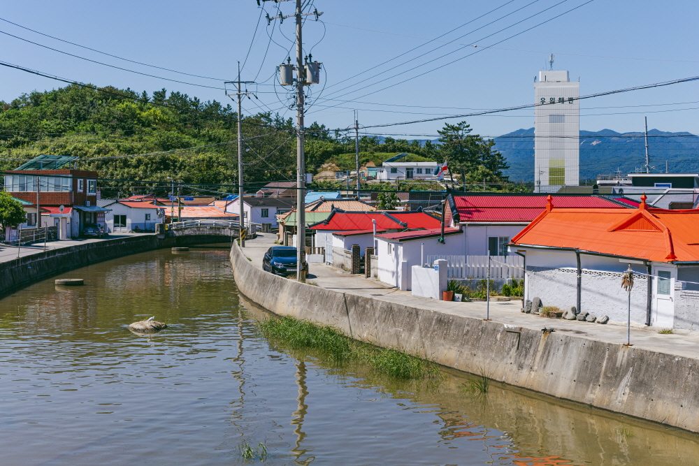 우암교에서 바라본 주문리 동네 풍경