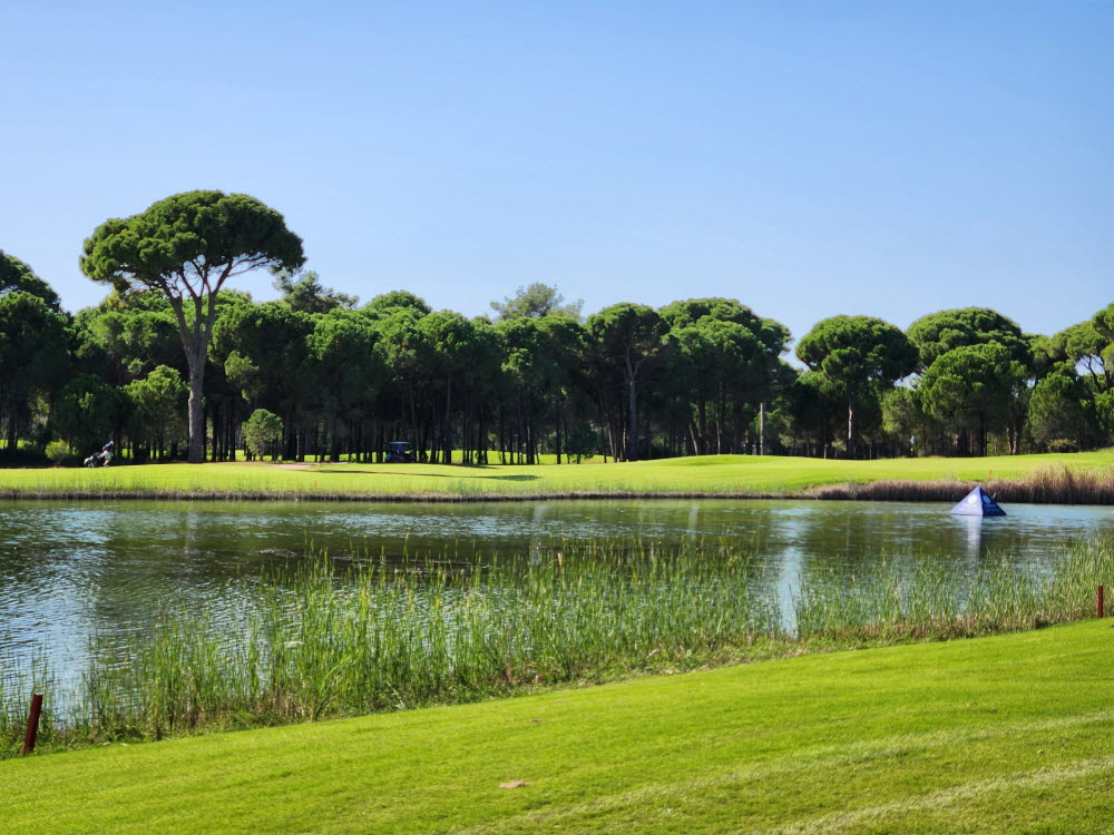안탈리아 골프의 특징이자 대표적인 장애물인 우산 모양 소나무
