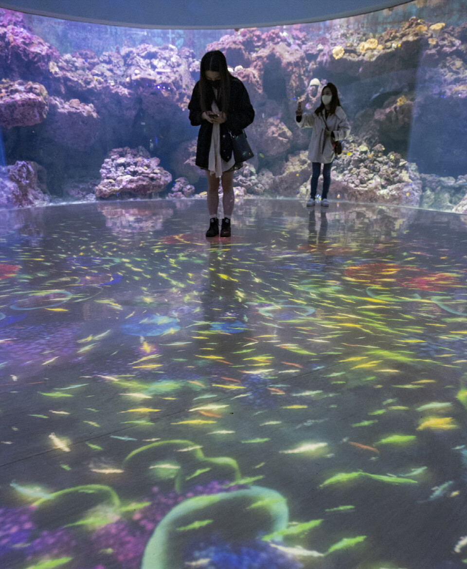 해양동물과 빛이 어우러진 엑스파크의 미디어 아트