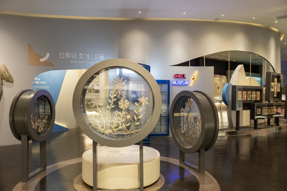 1만1,000점의 패류가 전시되어 있는 세계조개박물관