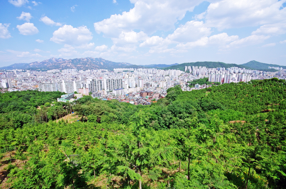 봉산 편백나무숲 전망대에서 본 봉산 편백나무 숲과 서울 풍경. 사진 왼쪽에서 오른쪽으로 북한산, 인왕산, 백련산, 안산이 보인다.