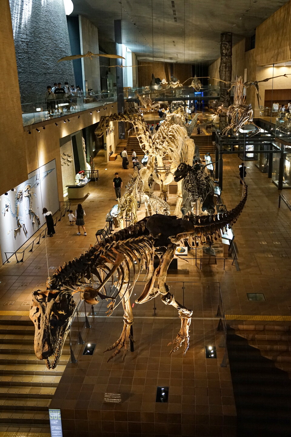 길이가 35m에 달하는 공룡 골격을 실감나게 재현했다