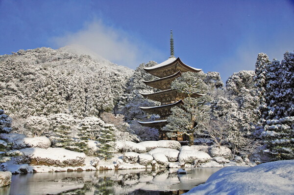 뉴욕타임즈가 '2024년 방문해야 할 세계여행지' 중 일본 야마구치현을 3위로 선정했다 사진은 추천 여행지인 루리코지 5층탑 / 야마구치현