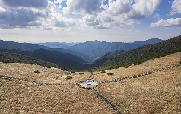 신불산 억새평원 / 울산시