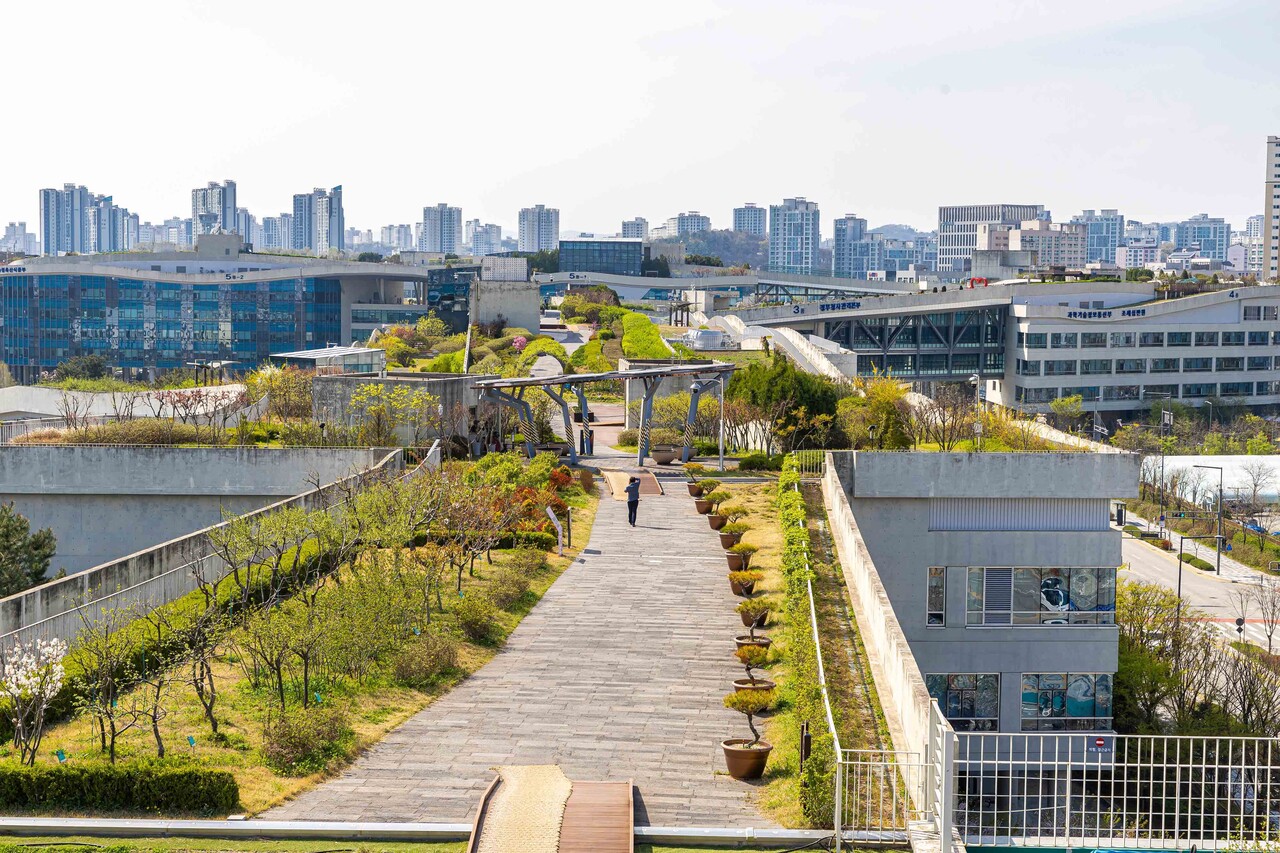 정부세종청사 옥상정원