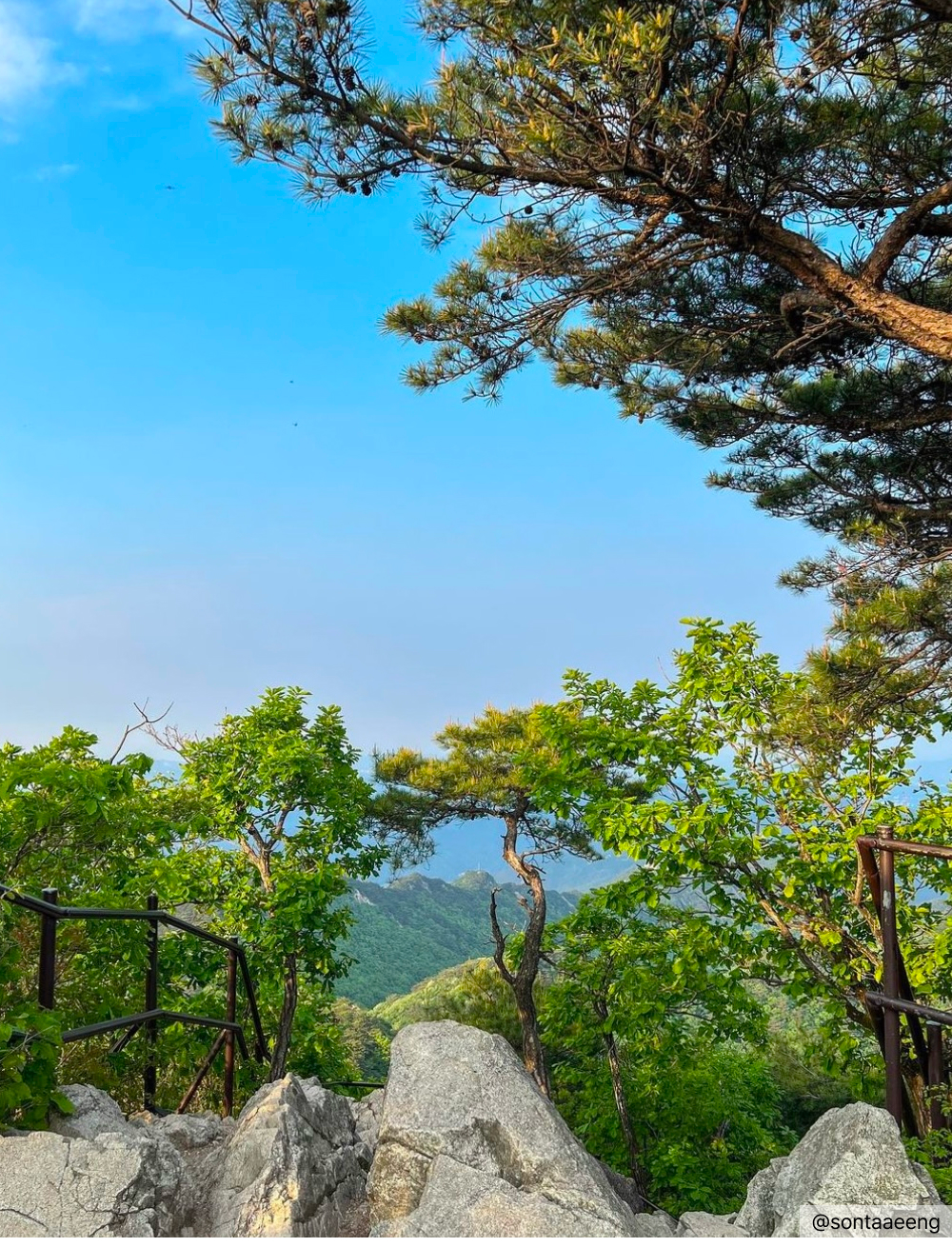 계룡산