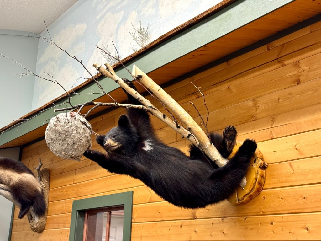 Northwest Territories Tourism