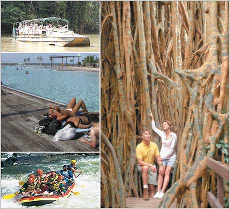 호주 케언즈 - 달에서도 보이는 신비한 바다세상 < Cairns < Australia < Southpacific < 기사본문 - 트래비  매거진