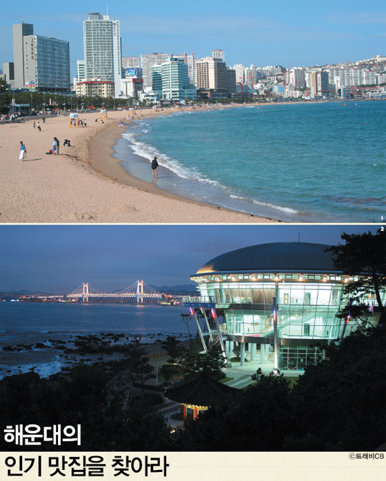 김봉수의 맛있는 대한민국 12.해운대-해운대의 인기 맛집을 찾아라 < Dining < IDEA < 기사본문 - 트래비 매거진 김봉수의 맛있는 대한민국 12.... 